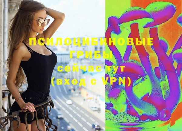 синтетический гашиш Белокуриха